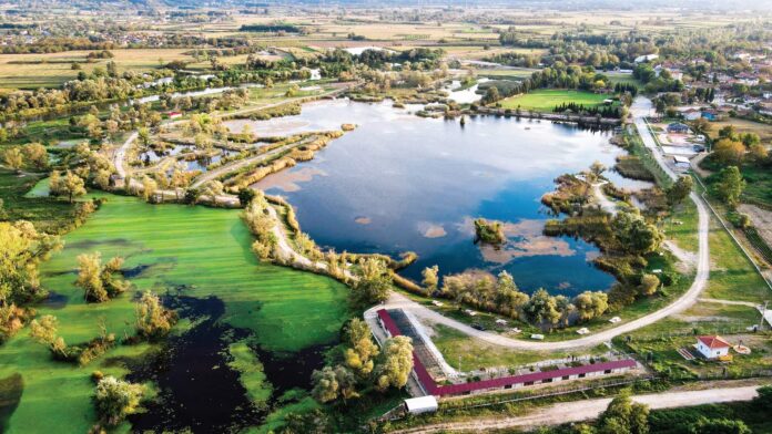 Arifiye, Sakarya'da en yüksek nüfus artış oranına sahip ilçe oldu