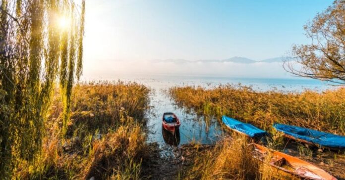 Nihat Arda Şahin: Mühendislikten Siyasete Sapanca’ya Değer Katan İsim
